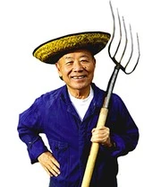 Japanse Esdoorn 'Burgund' 5 Japanse Esdoorn 'Burgund' - Afbeelding 3