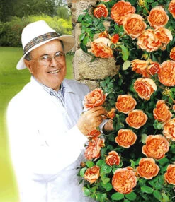 Set Clematis 'The President' & Klimroos 'Papi Delbard®' -Tuinbenodigdheden Verkoop 2024 8901292916766