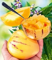 Meloen Rariteiten Collectie 5 Meloen Rariteiten Collectie - Afbeelding 3