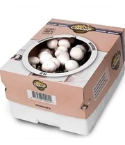 Champignon Kweek Collectie 6 Champignon Kweek Collectie - Afbeelding 4