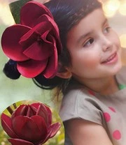 Magnolia 'Genie® ' 6 Magnolia 'Genie® ' - Afbeelding 4