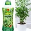 COMPO® SANA® Meststof Voor Palmen & Chamaedorea Palm 1 COMPO® SANA® Meststof Voor Palmen & Chamaedorea Palm -Tuinbenodigdheden Verkoop 2024 8976354476062