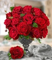 Parfumroos 'Le Rouge Et Le Noir®' 6 Parfumroos 'Le Rouge Et Le Noir®' - Afbeelding 4