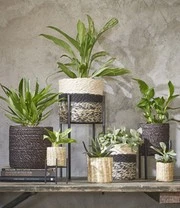 Plantenkrukje/Planten Standaard 'Ascot' 20,5 Cm 5 Plantenkrukje/Planten Standaard 'Ascot' 20,5 Cm - Afbeelding 3