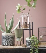 Plantenkrukje/Planten Standaard 'Ascot' 20,5 Cm 6 Plantenkrukje/Planten Standaard 'Ascot' 20,5 Cm - Afbeelding 4