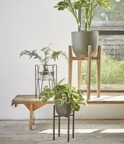 Plantenkrukje/Planten Standaard 'Ascot' 20,5 Cm 7 Plantenkrukje/Planten Standaard 'Ascot' 20,5 Cm - Afbeelding 5