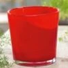 Glazen Sierpot ø 19 Cm 'rood' 2 Glazen Sierpot ø 19 Cm 'rood' -Tuinbenodigdheden Verkoop 2024 8991268077598
