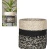 Kokos Sierpot 'Live' ø20 Cm Met Kunststof Inzetstuk 2 Kokos Sierpot 'Live' ø20 Cm Met Kunststof Inzetstuk -Tuinbenodigdheden Verkoop 2024 8992663404574