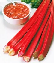 Doordragende Rabarber 'Livingstone' 4 Doordragende Rabarber 'Livingstone' - Afbeelding 2