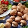 Kastanjechampignons (kweekset) -Tuinbenodigdheden Verkoop 2024 9023870435358
